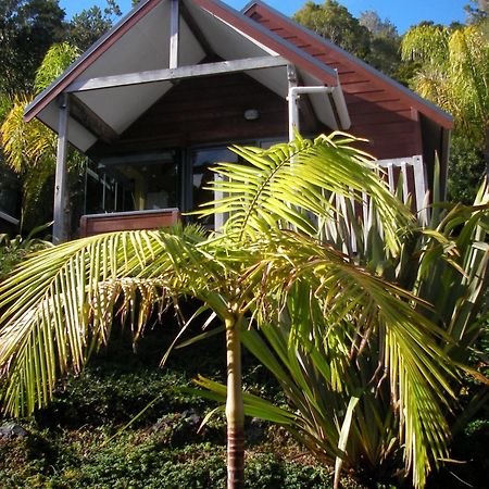 Bay Cabinz Motel Paihia Extérieur photo